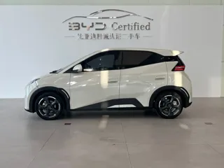BYD Seagull 2023 купить из Китая, цена 1 367 000 ₽ — Suifenhe Auto