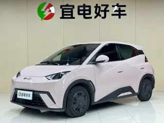 BYD Seagull 2025 купить из Китая, цена 1 419 000 ₽ — Suifenhe Auto