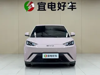BYD Seagull 2025 купить из Китая, цена 1 419 000 ₽ — Suifenhe Auto