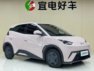BYD Seagull 2025 купить из Китая, цена 1 419 000 ₽ — Suifenhe Auto