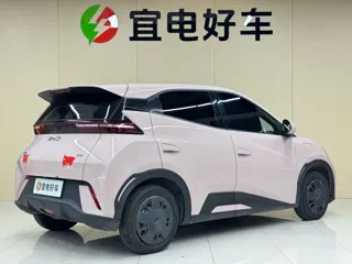BYD Seagull 2025 купить из Китая, цена 1 419 000 ₽ — Suifenhe Auto