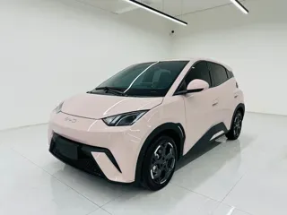 BYD Seagull 2024 купить из Китая, цена 1 419 000 ₽ — Suifenhe Auto