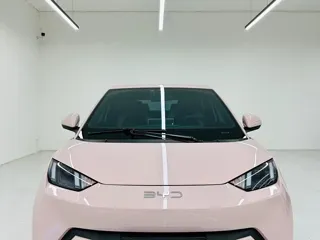 BYD Seagull 2024 купить из Китая, цена 1 419 000 ₽ — Suifenhe Auto