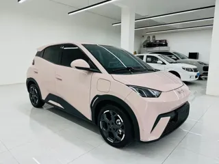 BYD Seagull 2024 купить из Китая, цена 1 419 000 ₽ — Suifenhe Auto