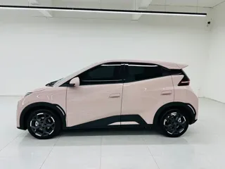 BYD Seagull 2024 купить из Китая, цена 1 419 000 ₽ — Suifenhe Auto