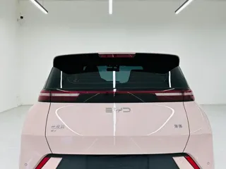 BYD Seagull 2024 купить из Китая, цена 1 419 000 ₽ — Suifenhe Auto
