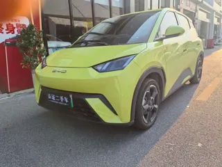 BYD Seagull 2024 купить из Китая, цена 1 256 000 ₽ — Suifenhe Auto