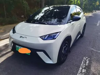 BYD Seagull 2025 купить из Китая, цена 1 274 000 ₽ — Suifenhe Auto