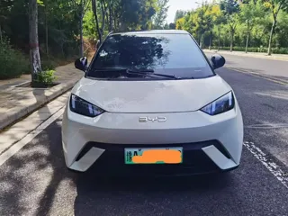 BYD Seagull 2025 купить из Китая, цена 1 274 000 ₽ — Suifenhe Auto