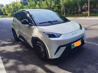 BYD Seagull 2025 купить из Китая, цена 1 274 000 ₽ — Suifenhe Auto