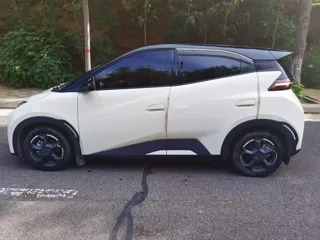 BYD Seagull 2025 купить из Китая, цена 1 274 000 ₽ — Suifenhe Auto