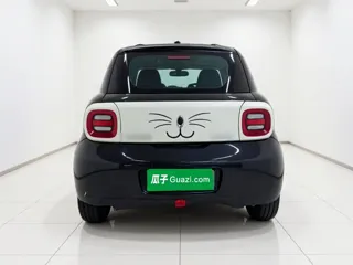 ORA Black Cat 2021 купить из Китая, цена 1 042 000 ₽ — Suifenhe Auto