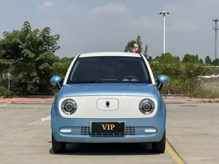 ORA Black Cat 2020 купить из Китая, цена 933 000 ₽ — Suifenhe Auto