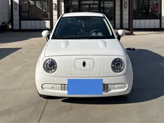 ORA Black Cat 2020 купить из Китая, цена 1 040 000 ₽ — Suifenhe Auto