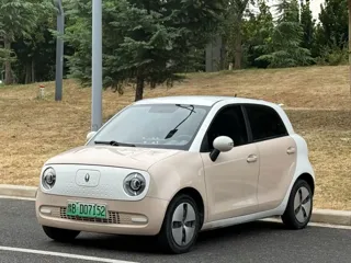 ORA Black Cat 2021 купить из Китая, цена 989 000 ₽ — Suifenhe Auto