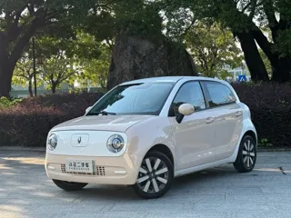 ORA Black Cat 2022 купить из Китая, цена 1 058 000 ₽ — Suifenhe Auto