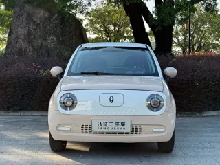 ORA Black Cat 2022 купить из Китая, цена 1 058 000 ₽ — Suifenhe Auto