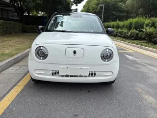 ORA Black Cat 2021 купить из Китая, цена 1 060 000 ₽ — Suifenhe Auto