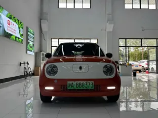 ORA Black Cat 2020 купить из Китая, цена 1 003 000 ₽ — Suifenhe Auto