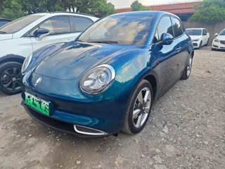 ORA Good Cat 2021 купить из Китая, цена 1 171 000 ₽ — Suifenhe Auto