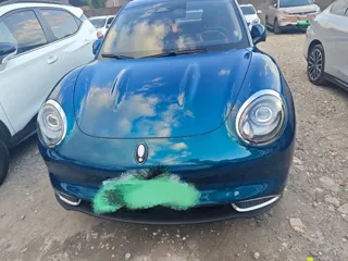 ORA Good Cat 2021 купить из Китая, цена 1 171 000 ₽ — Suifenhe Auto