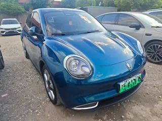 ORA Good Cat 2021 купить из Китая, цена 1 171 000 ₽ — Suifenhe Auto