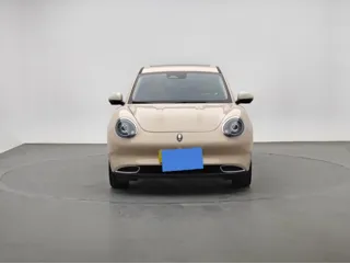 ORA Good Cat 2021 купить из Китая, цена 1 332 000 ₽ — Suifenhe Auto