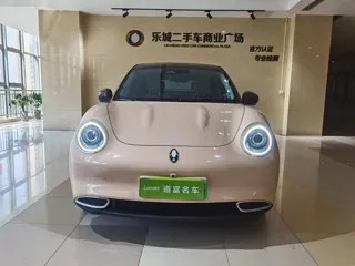 ORA Good Cat 2021 купить из Китая, цена 1 407 000 ₽ — Suifenhe Auto