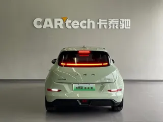 ORA Good Cat 2024 купить из Китая, цена 2 661 000 ₽ — Suifenhe Auto