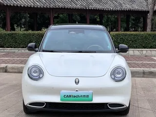 ORA Good Cat 2025 купить из Китая, цена 1 837 000 ₽ — Suifenhe Auto