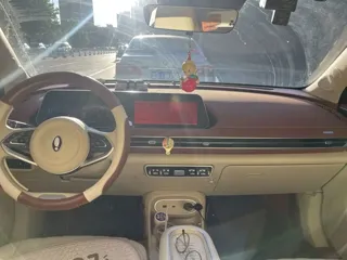 ORA Good Cat 2024 купить из Китая, цена 1 717 000 ₽ — Suifenhe Auto