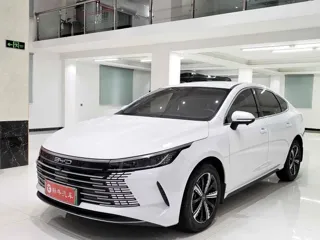 BYD Destroyer 05 2024