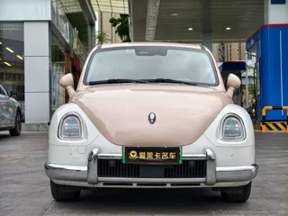 ORA Ballet Cat 2024 купить из Китая, цена 2 136 000 ₽ — Suifenhe Auto