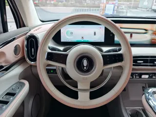 ORA Ballet Cat 2024 купить из Китая, цена 2 136 000 ₽ — Suifenhe Auto