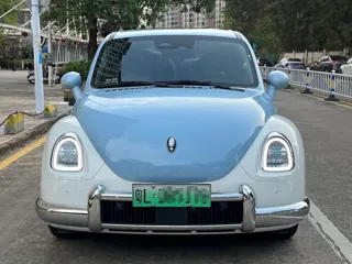 ORA Ballet Cat 2024 купить из Китая, цена 1 783 000 ₽ — Suifenhe Auto