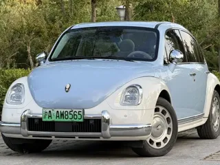 ORA Ballet Cat 2022 купить из Китая, цена 1 657 000 ₽ — Suifenhe Auto