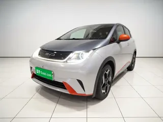 BYD Dolphin 2021 купить из Китая, цена 1 218 000 ₽ — Suifenhe Auto