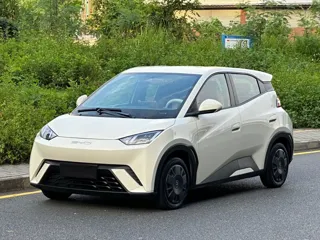 BYD Seagull 2024 купить из Китая, цена 1 383 000 ₽ — Suifenhe Auto