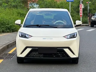 BYD Seagull 2024 купить из Китая, цена 1 383 000 ₽ — Suifenhe Auto
