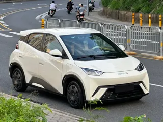 BYD Seagull 2024 купить из Китая, цена 1 383 000 ₽ — Suifenhe Auto