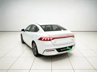 BYD Qin PLUS 2024 купить из Китая, цена 2 222 000 ₽ — Suifenhe Auto
