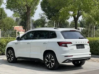 Skoda Karoq 2023 купить из Китая, цена 2 509 000 ₽ — Suifenhe Auto