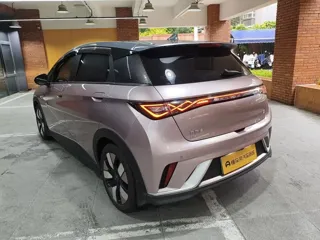 BYD Dolphin 2024 купить из Китая, цена 2 798 000 ₽ — Suifenhe Auto
