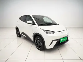 BYD Seagull 2024 купить из Китая, цена 1 421 000 ₽ — Suifenhe Auto