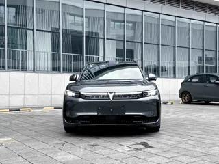 Voyah Free 2025 купить из Китая, цена 4 997 000 ₽ — Suifenhe Auto
