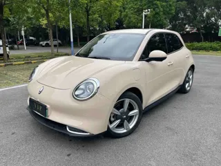ORA Good Cat 2021 купить из Китая, цена 1 476 000 ₽ — Suifenhe Auto