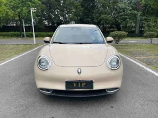 ORA Good Cat 2021 купить из Китая, цена 1 476 000 ₽ — Suifenhe Auto