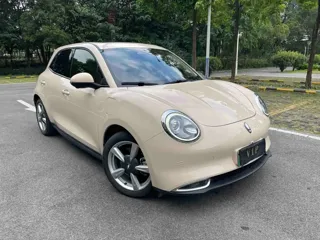 ORA Good Cat 2021 купить из Китая, цена 1 476 000 ₽ — Suifenhe Auto