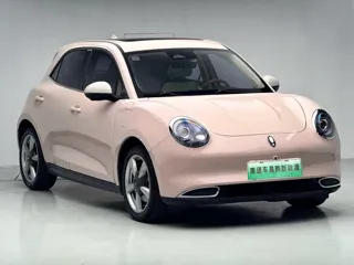 ORA Good Cat 2021 купить из Китая, цена 1 367 000 ₽ — Suifenhe Auto