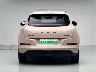 ORA Good Cat 2021 купить из Китая, цена 1 367 000 ₽ — Suifenhe Auto